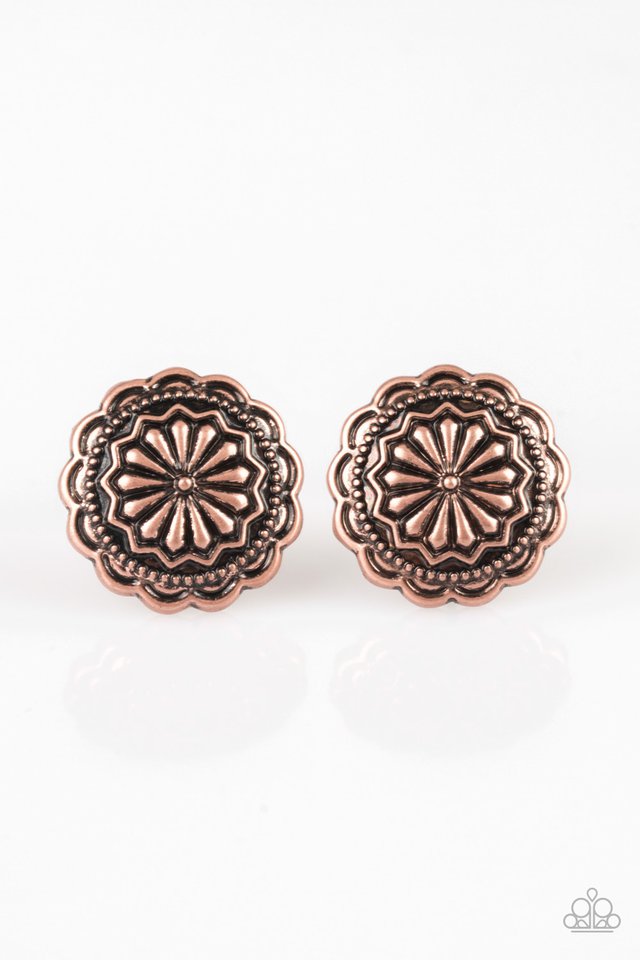 Durango Desert Copper Earrings